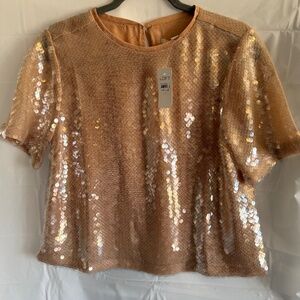 Loft NWT clear sequins blouse. Size small